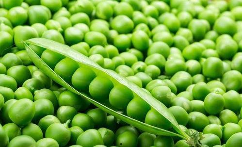 二豆娱乐吃瓜,揭秘娱乐圈吃瓜背后的真相